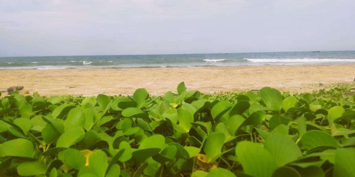 Chan Beach Resort Bahur Ngoại thất bức ảnh