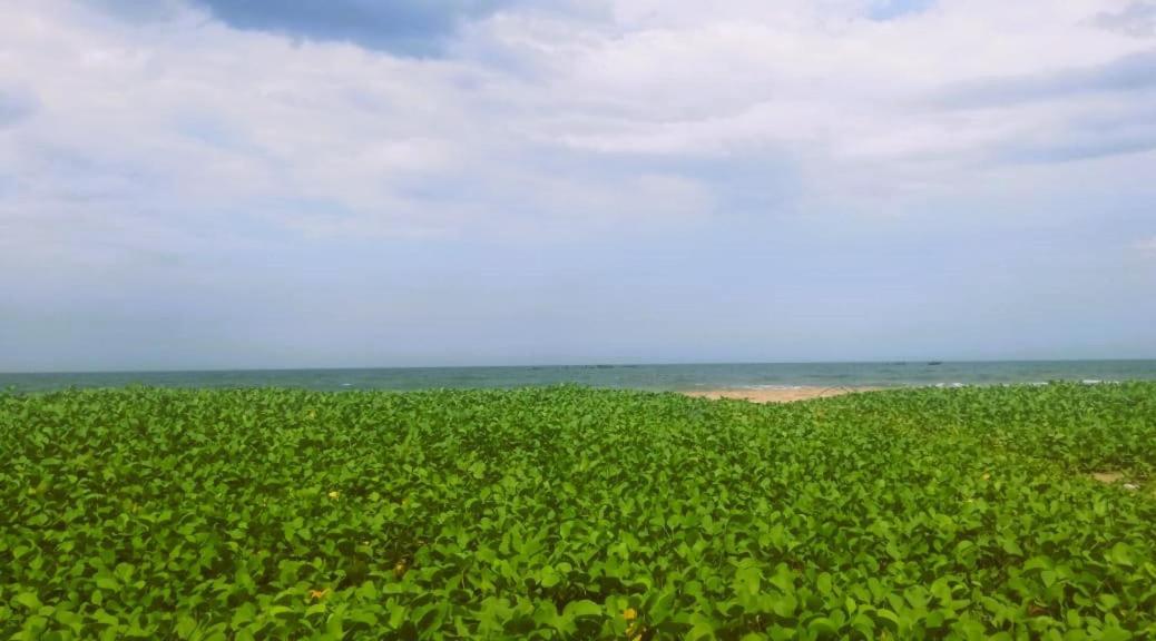 Chan Beach Resort Bahur Ngoại thất bức ảnh